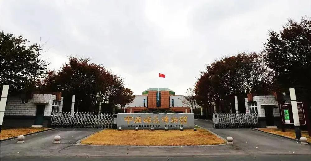 巖星特刊 | 在熱點(diǎn)之后,我們來看看這一座博物館插圖(1) 巖星特刊 | 在熱點(diǎn)之后,我們來看看這一座博物館插圖(1)