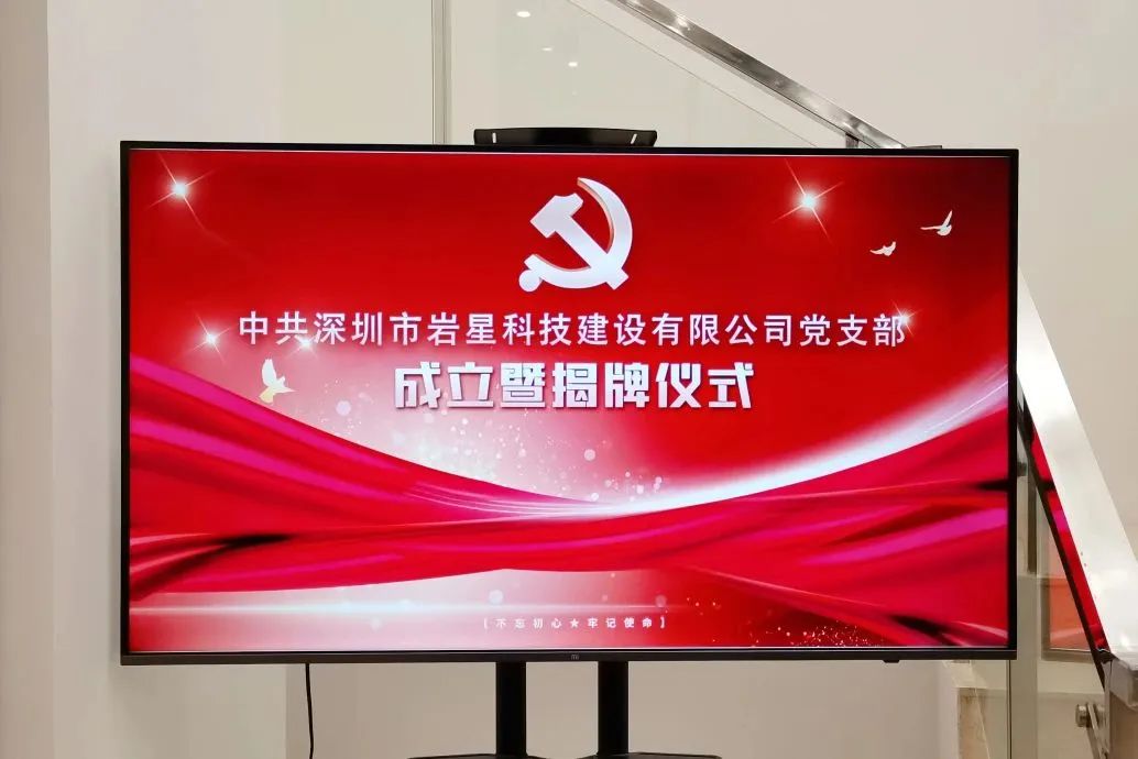 巖星之聲 | 黨建引領(lǐng)再出發(fā),巖星科建黨支部正式揭牌成立!插圖 圖片